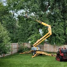 Best Tree Cabling and Bracing  in Elizabethtown, PA