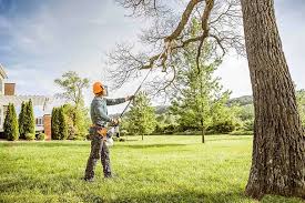 Best Lawn Pest Prevention  in Elizabethtown, PA